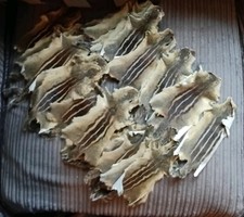 Joblot Squirrel Skins Taxidermy Crafts Collectibles Joblot Fur Pelts