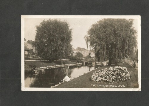 Postcard devon dawlish the - devon,