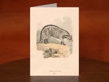 African Civet by Samuel Howitt (ca. 1817) - A5 Art Print Greeting Card