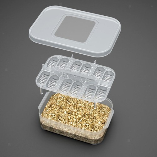 Reptile egg incubation - reptile, box
