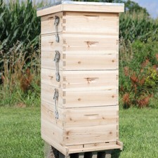 4 Tiers Langstroth Beehive Box Wooden Brood Box Hive Frames Beekeeping Honey UK