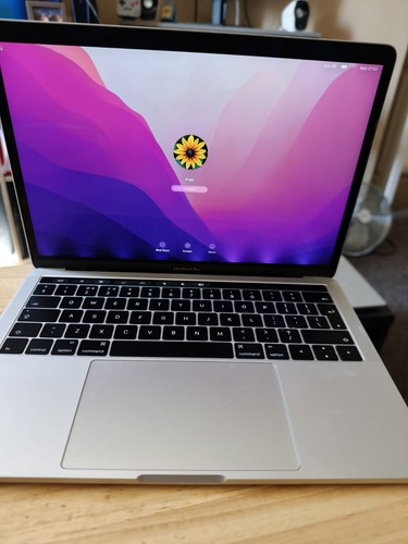 Apple macbook pro - 13.3", 256gb