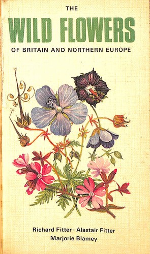 Wild flowers britain and - britain,