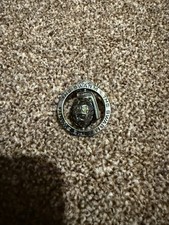 Thorpe Park the swarm pin