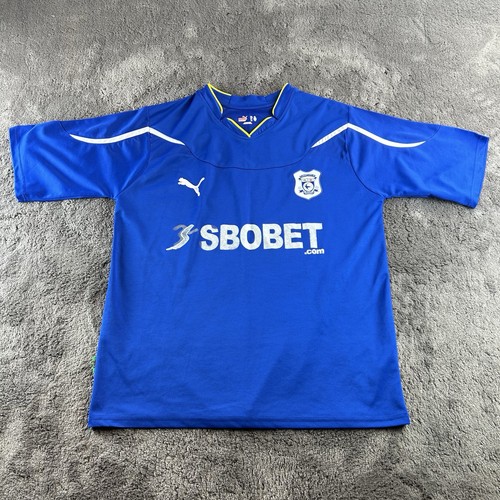 Cardiff city 2010 - cardiff, home