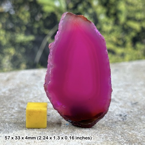 Agate slice - agate,