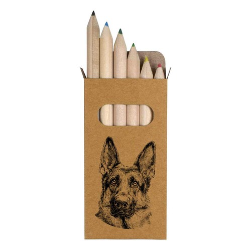 German shepherd portrait - x,