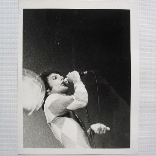 Queen freddie mercury - freddie,