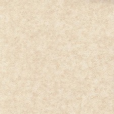 Caravan Wallboard Bailey Ashton (2400mm x 1220mm x 2.7mm)