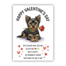 Yorkshire Terrier – Yorkie
