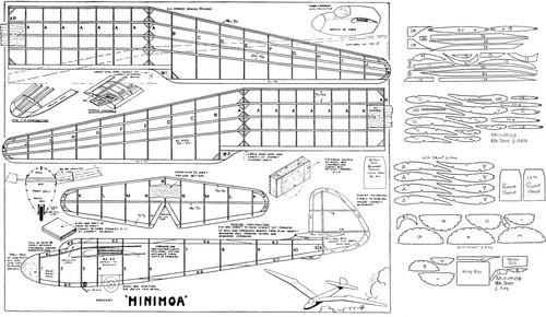 Minimoa free flight - , glider