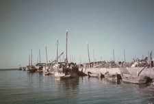 Port Of Doha In Qatar Dhows
