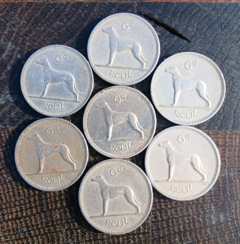 Eire ireland irish wolfhound - 7,