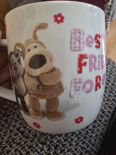 Boofle best friends - mug, very