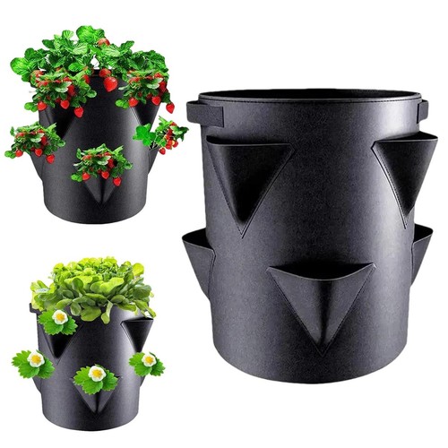 Strawberry planters outdoor - strawberry,