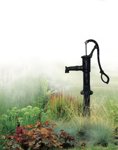Cast iron rose hand pump - hand,