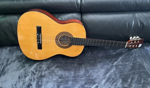 Herald hl44 acoustic - herald,