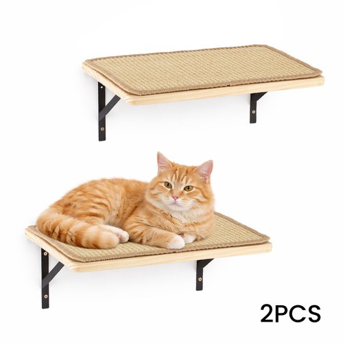 Cat wall shelves wooden - cat, shelves,