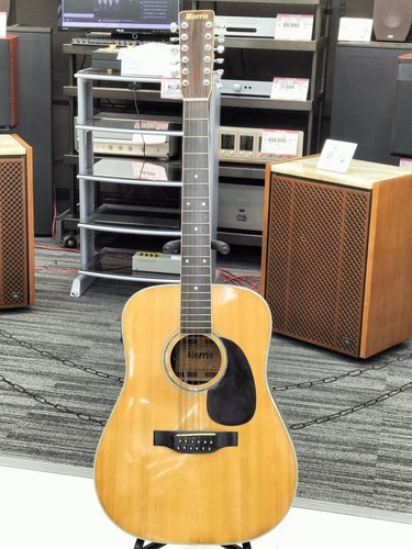 Morris string acoustic - b-50,