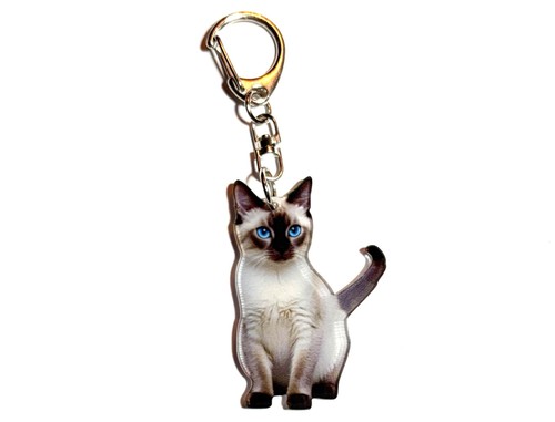 Sweet little siamese kitten - little,