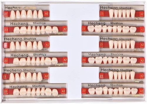 84x acrylic resin denture - 84x,