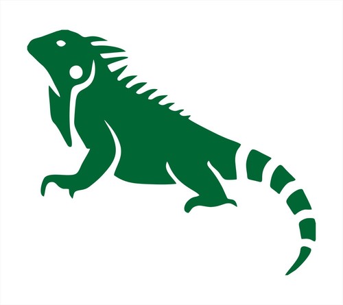 Iguana animal vinyl - iguana,