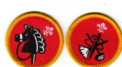 Boy scout badges cub - hobbies, +