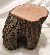 1 x Holm Oak wood log for