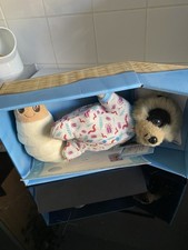 Baby Oleg Meerkat Toy With Grub Compare The Market With Tags & Box & Certificate