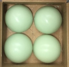 PartyLite HONEYDEW Aroma Melts