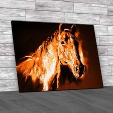 Horse Animal Painting
