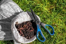 PRESTON INNOVATIONS WORM
