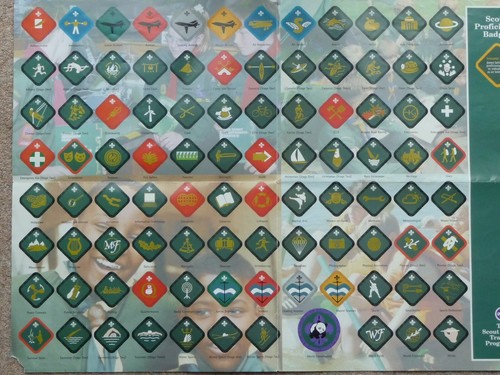 Scout proficiency badges - scout,