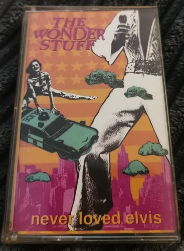 The wonder stuff - never, loved