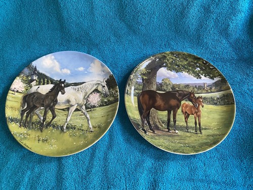 Spode horse plates - spode,