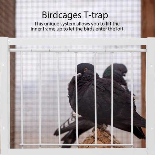 Trap bird cage door 33x26cm - t-trap,