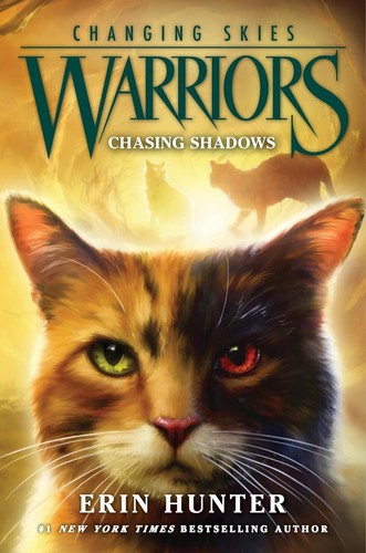 Warriors changing skies 3 - changing,
