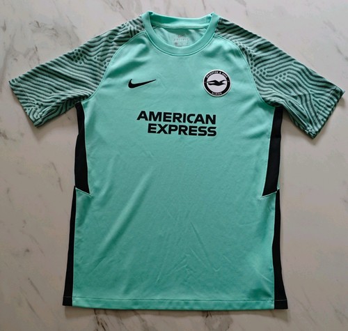 Brighton hove albion - brighton, &