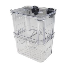Aquarium fish breeding box - fish,