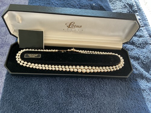 Lotus royale pearl - lotus,