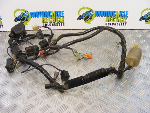 Honda cbr 600 wiring loom - honda,