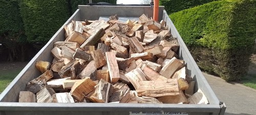 Seasoned hardwood logs - hardwood, *free