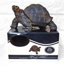 Vivid Arts Baby Tortoise Pet