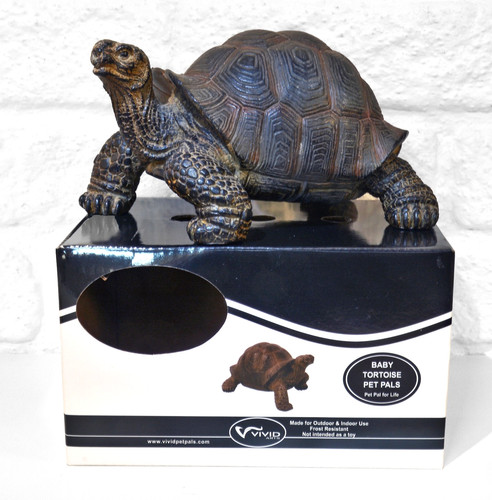 Vivid arts baby - arts, tortoise