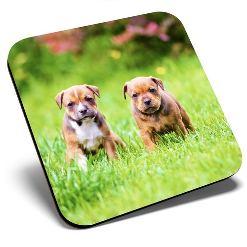 Square single coaster - coaster,