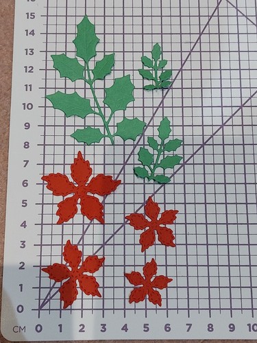 Christmas holly poinsettia - christmas,
