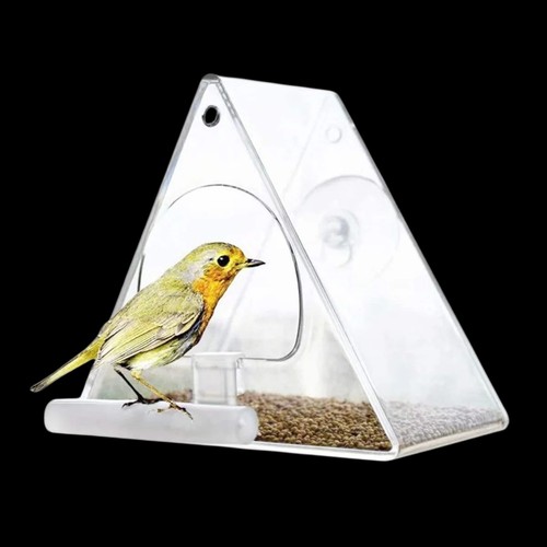 Glass window bird feeder - glass,