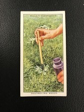 1938 Wills's Garden Hints #20