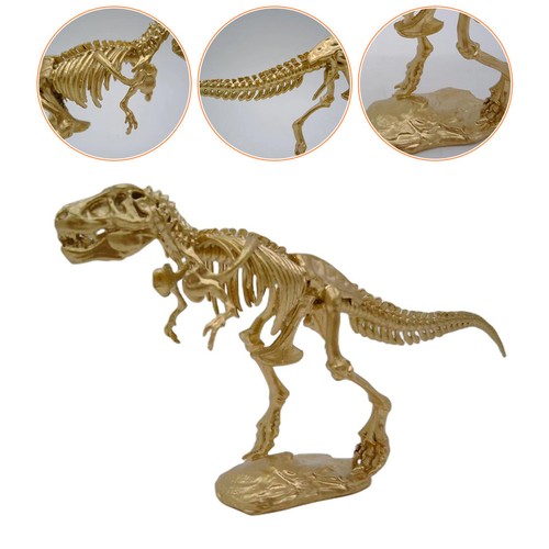 Dinosaur skelecton statue - dinosaur,