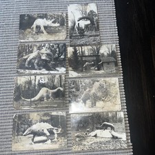 (8) Vintage Postcards 1930s